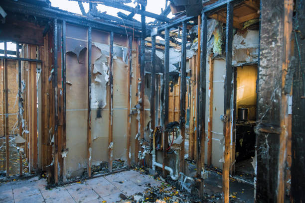 Professional Fire Damage Removal technician working in Cologne, MN
